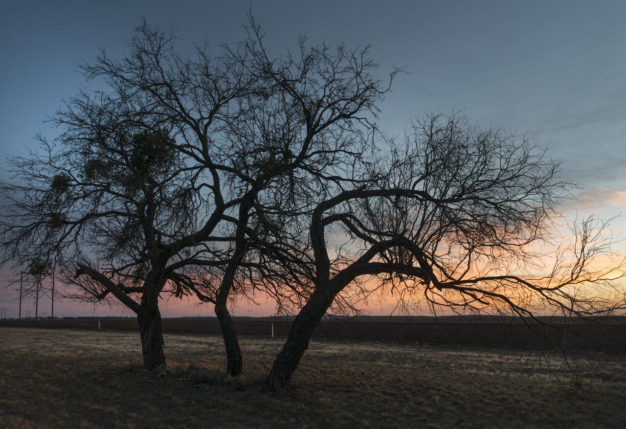 Sunset over rural Tom Green County, Texas (stock photo)